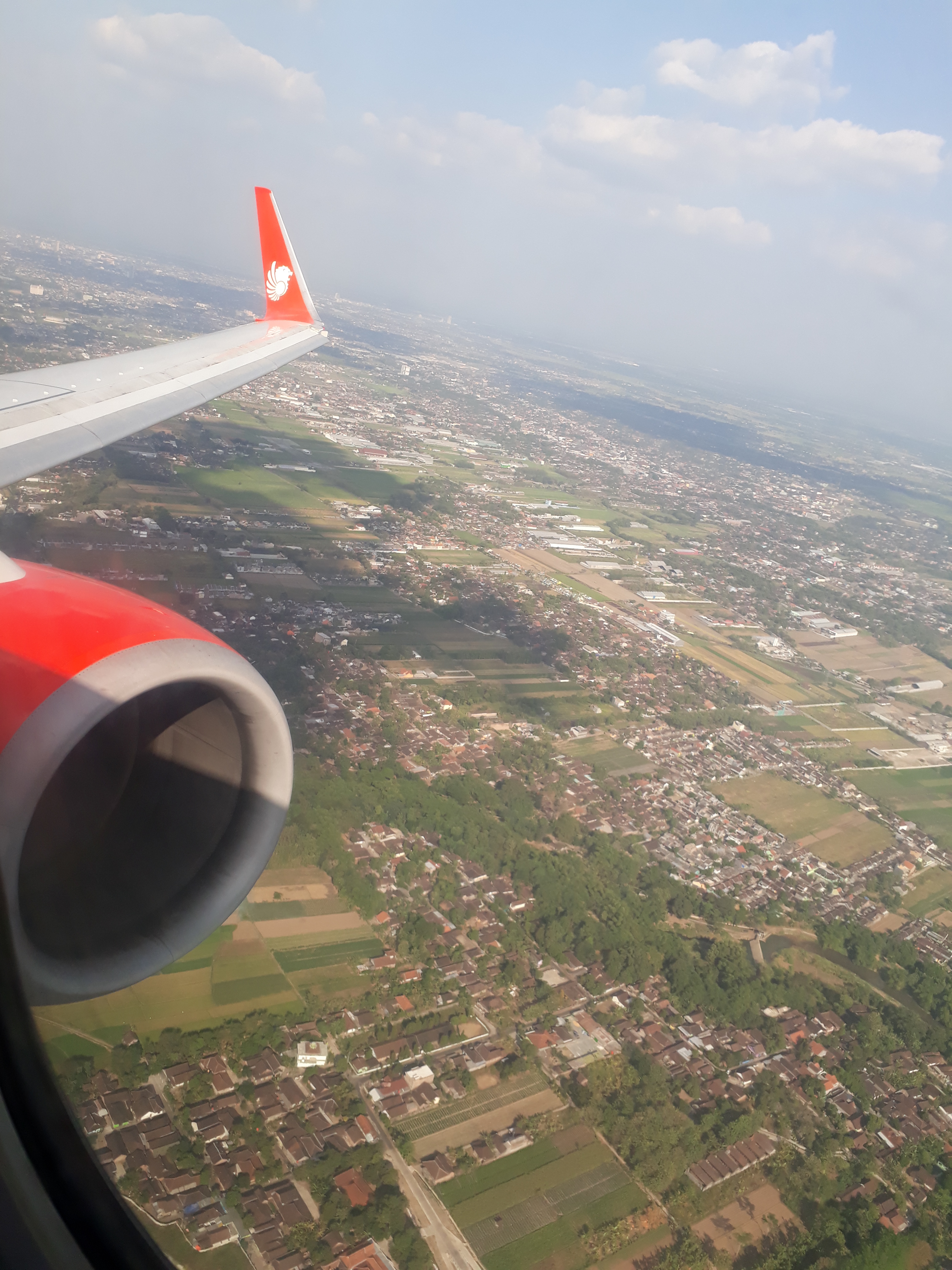 Everything About Solo